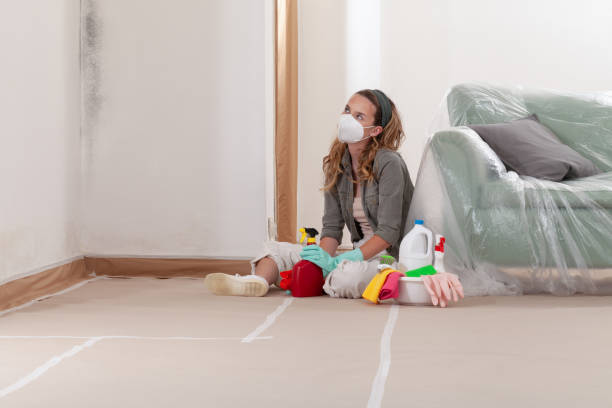 Reliable Black Mold Removal contractor in Sykesville, MD by WQB Mold Removal